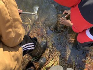 5th Grade cleaning a creek